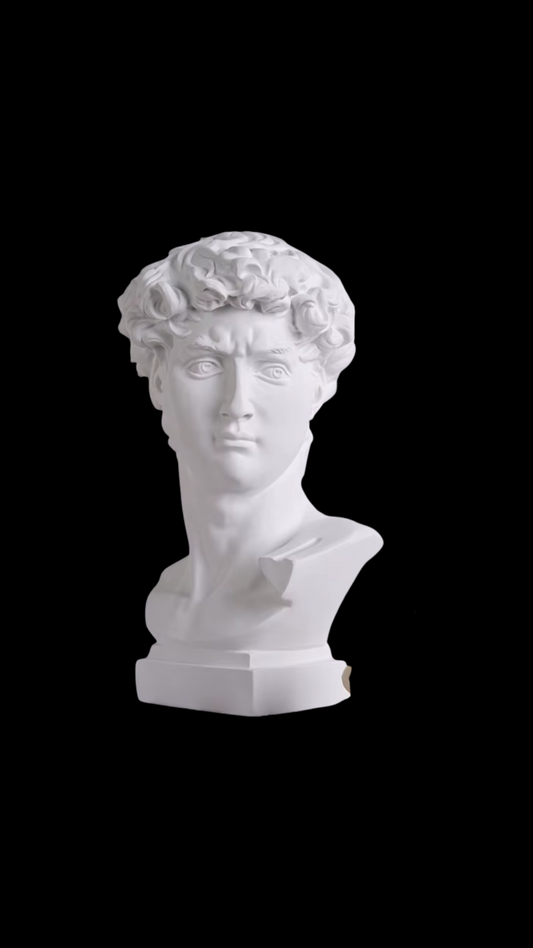Foyer David Bust Statue